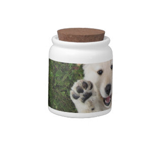 Golden retriever puppy cookie jar
