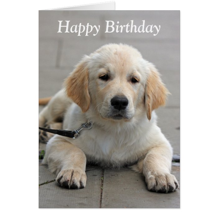 Golden Retriever puppy cute photo birthday card