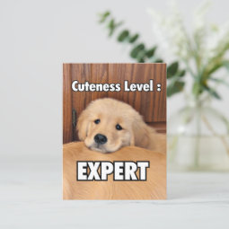 Golden Retriever Puppy Cuteness Level Postcard | Zazzle