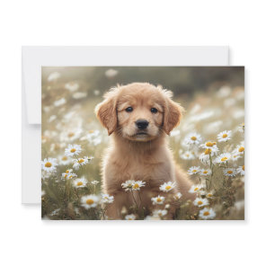 Golden Retriever Puppy Daisy Field Postcard