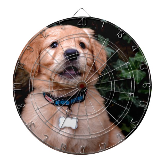 Golden Retriever Puppy Dartboard (Front)