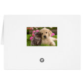 Golden Retriever Puppy Dog And Kitten Blank (Back Horizontal)