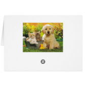 Golden Retriever Puppy Dog And Kittens Blank (Back Horizontal)