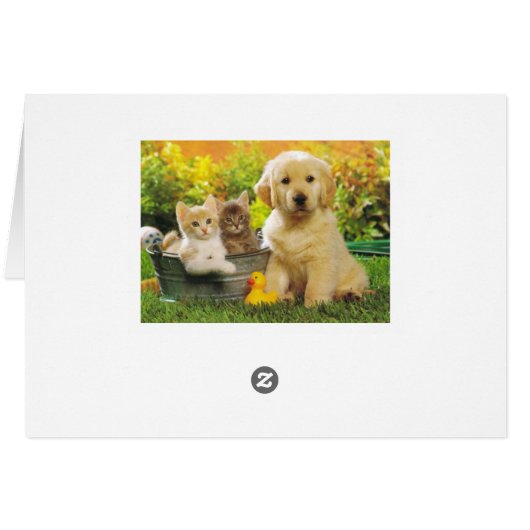 Golden Retriever Puppy Dog And Kittens Blank (Back Horizontal)
