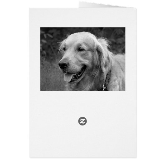 Golden Retriever Puppy Dog Blank (Back)