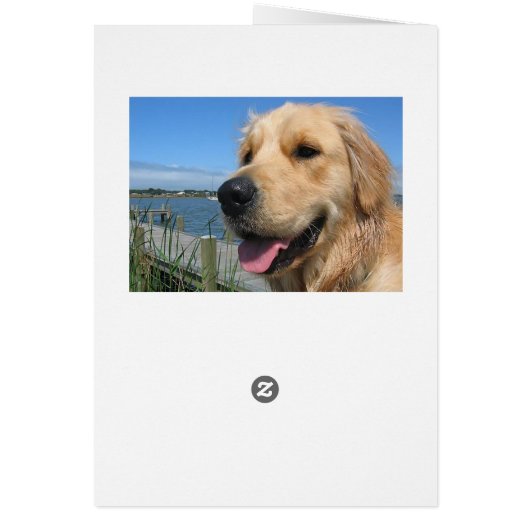 Golden Retriever Puppy Dog Blank (Back)