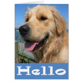 Golden Retriever Puppy Dog Blank (Front)