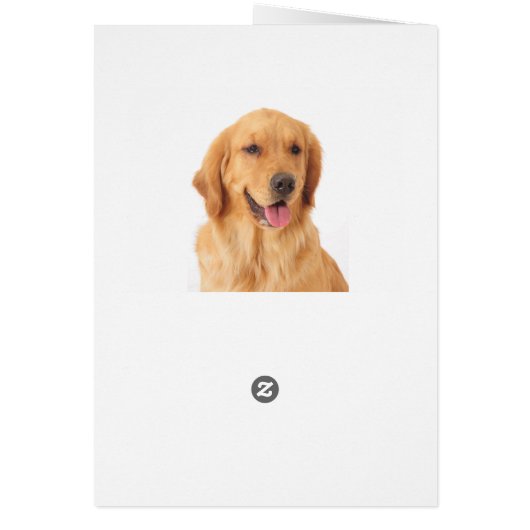 Golden Retriever Puppy Dog Blank (Back)