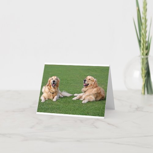 Golden Retriever Puppy Dog Blank Card