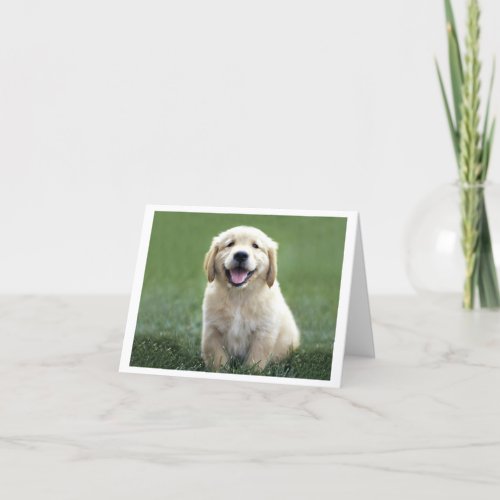 Golden Retriever Puppy Dog Blank Card