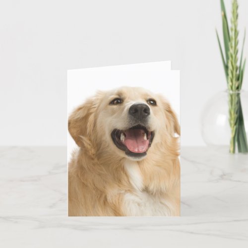 Golden Retriever Puppy Dog Blank Greeting Notecard