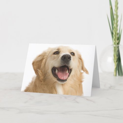 Golden Retriever Puppy Dog Blank Greeting Notecard