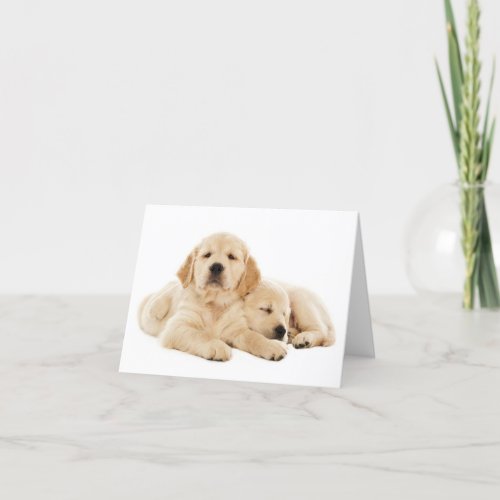 Golden Retriever Puppy Dog Blank Note Card