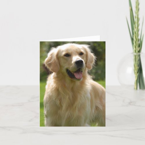 Golden Retriever Puppy Dog Blank Notecard
