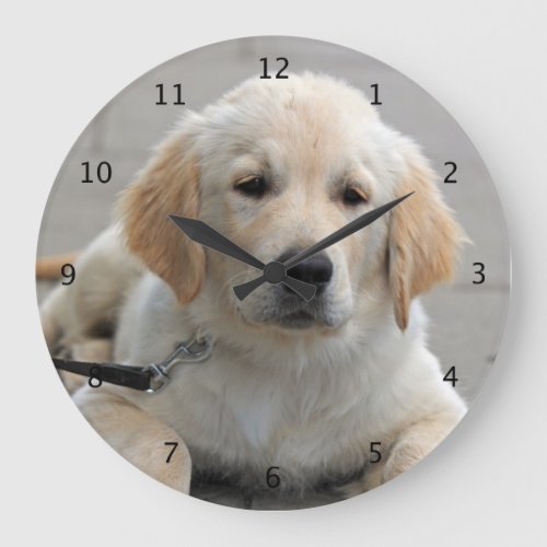 Golden Retriever puppy dog cute beautiful photo Large Clock