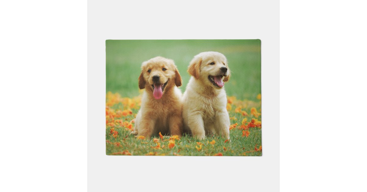 Golden Retriever Puppy Dog Cute Door Mat Zazzle Com