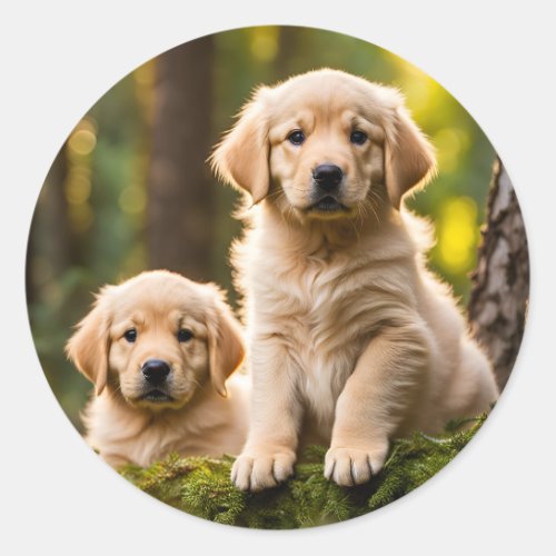 Golden Retriever puppy dog cute photo  Classic Round Sticker