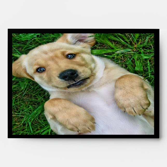 Golden Retriever Puppy Dog Envelopes (Front)