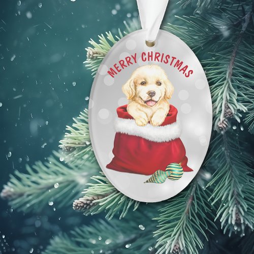 Golden Retriever Puppy Dog Gift Surprise Ornament