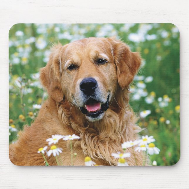 Golden Retriever Puppy Dog Mouse Pad (Front)