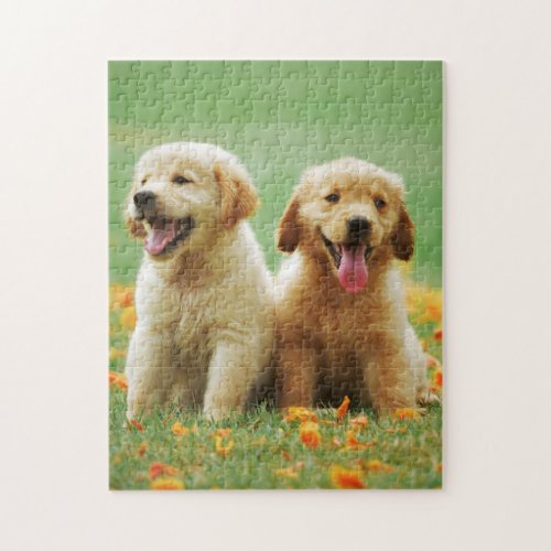 Golden Retriever puppy dog photo jigsaw puzzle
