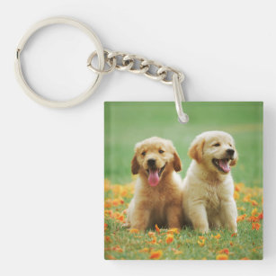 Golden Retriever puppy dog photo keychain
