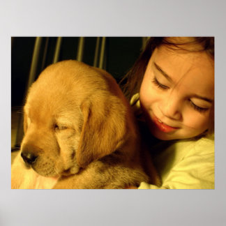 Golden Retriever Puppy Dog Photograph Poster