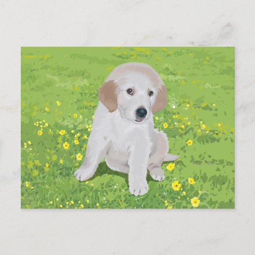 Golden Retriever Puppy Dog Postcard