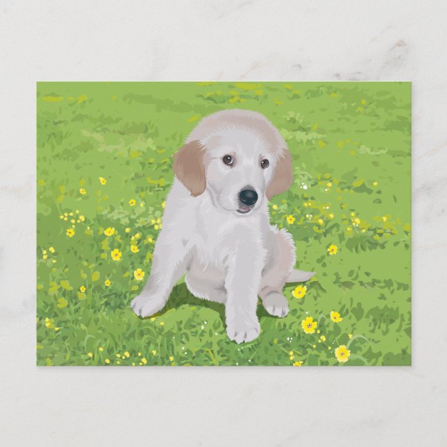 Golden Retriever Puppy Dog Postcard (Front)