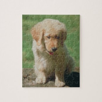 Golden Retriever Puppy Dog Puzzle by walkandbark at Zazzle