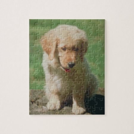 Golden Retriever Puppy Dog Puzzle