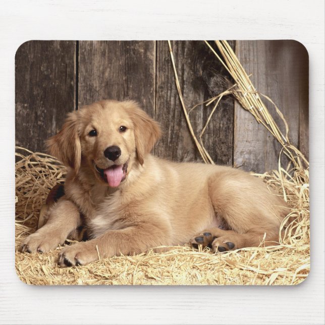 Golden Retriever Puppy Dog Rustic Barn Mouse Pad (Front)