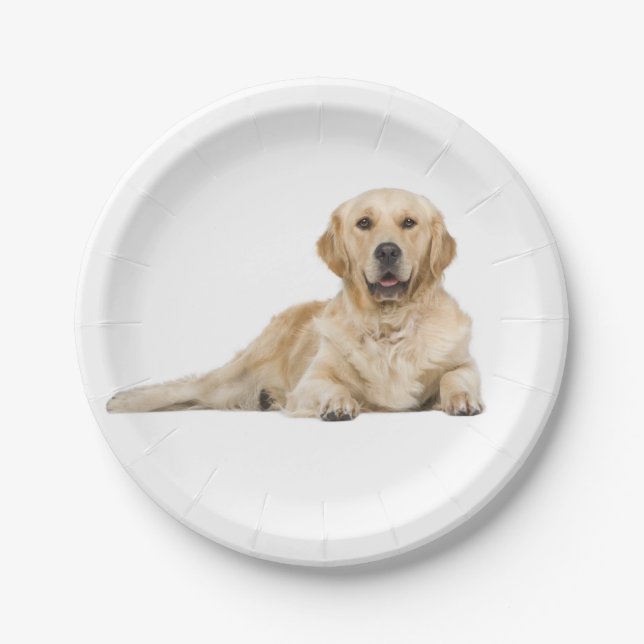 Golden Retriever Puppy Dog Wedding Party Paper Plates (Front)