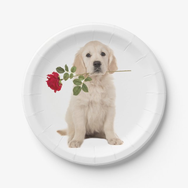 Golden Retriever Puppy Dog Wedding Party Paper Plates (Front)