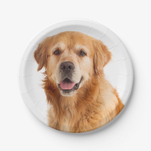 Golden Retriever Puppy Dog Wedding Party Paper Plates (Front)