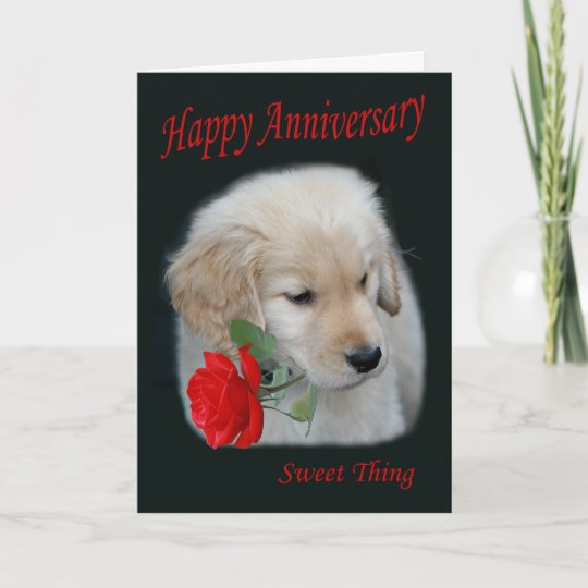 Golden Retriever Puppy Happy Anniversary Card | Zazzle.com