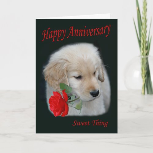 Golden Retriever Puppy Happy Anniversary Card