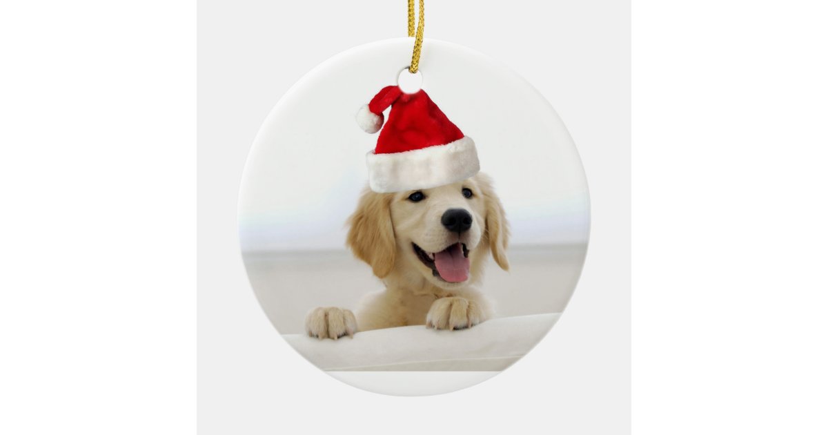 Golden Retriever Puppy Holiday Christmas Ornament Zazzle Com