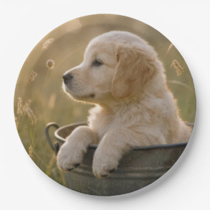Golden Retriever Puppy in a Metal Bucket Paper Plates