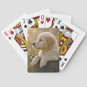 Golden Retriever Puppy in a Metal Bucket Poker Cards