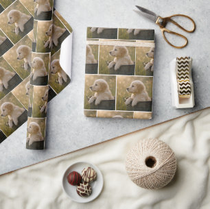 Golden Retriever Puppy in a Metal Bucket Wrapping Paper