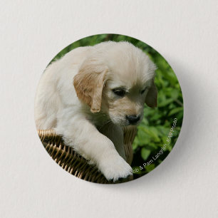 Golden Retriever Puppy in Basket Button