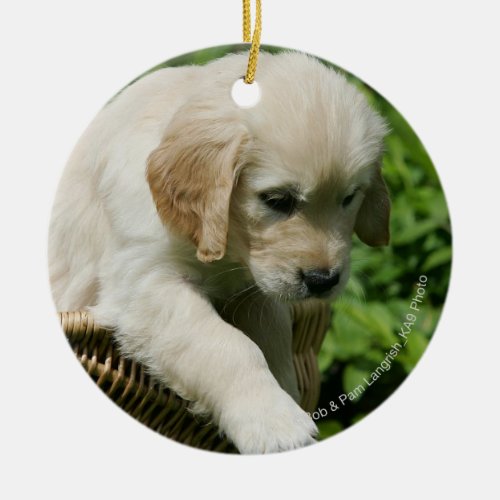 Golden Retriever Puppy in Basket Ceramic Ornament