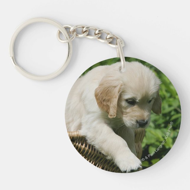 Golden Retriever Puppy in Basket Keychain (Front)