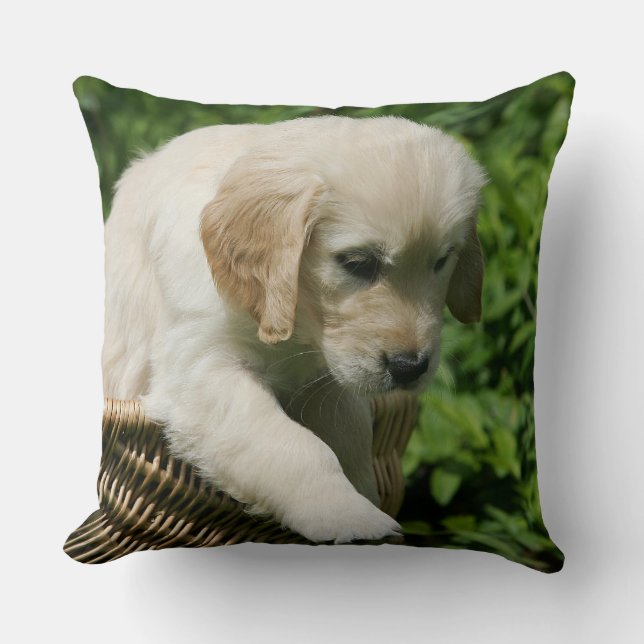 Golden Retriever Puppy in Basket Throw Pillow (Front)