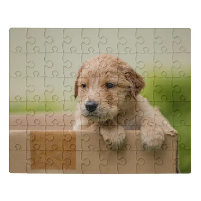 Golden Retriever Puppy in Box Jigsaw Puzzle | Zazzle