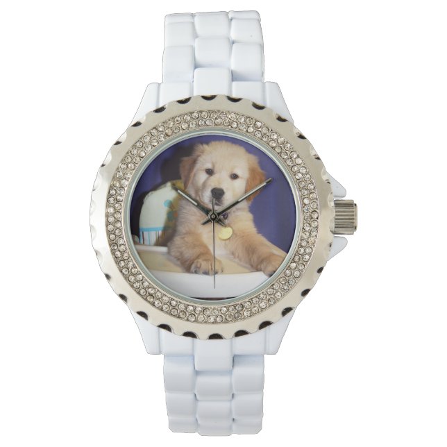 Golden Retriever Puppy in Highchair Watch (Front)