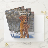 Golden Retriever Puppy in the Snow