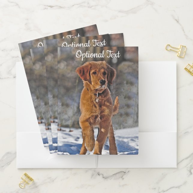 Golden Retriever Puppy in the Snow Pocket Folder (In Situ)