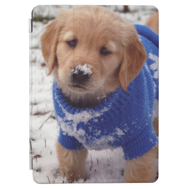 Golden Retriever Puppy iPad Air Cover (Front)